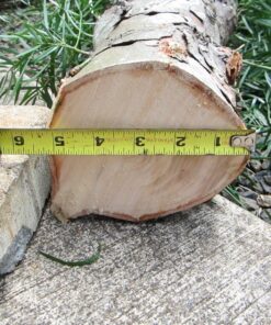 Worx 20V AXIS 2-in-1 Cordless Reciprocating Saw & Jig Saw, Orbital Cutting Reciprocating Saw, Pivoting Head Jigsaw Tool with Tool-Free Blade Change, Power Share WX550L – Battery & Charger Included 20V Battery + Charger Included 40 81hTEFEkhxL