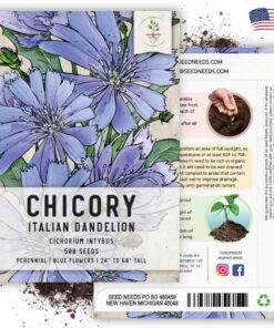 Seed Needs, Chicory Seeds - 500 Heirloom Seeds for Planting Cichorium intybus - Blue Floweres/Wildflowers, Non-GMO & Untreated, Italian Dandelion (2 Packs) 2 Packs (1,000 Seeds) 14 81hTOrWiMdL