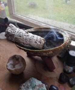 Premium White Sage Smudge Sticks, Sage Bundle, Spiritual Cleansing, Sage Smudge Kit, Slow Burning Sage Sticks, Dried Herbs for Meditation Accessories 3 Pk of 4" Bundles - Alternative Imagination 3 Pack - 4 Inch 43 81hTq49E1kL