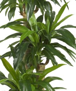 Nearly Natural - 6584 62in. Corn Stalk Dracaena Silk Plant (Real Touch), 24" x 28" x 62", Green artificial plant 37 81hUFE3ZYsL