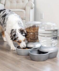 Petmate Replendish Gravity Waterer With Microban for Cats and Dogs, 2.5 Gallons,Blue, Made in USA Blue 2.5 GAL 35 81hZOnXM3ZL