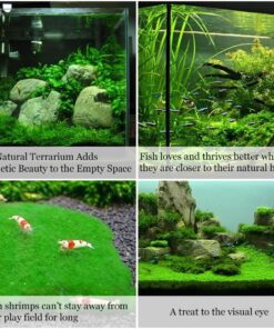 Luffy Decorative Wall or Floor Mesh Kit, 2 Pieces 29 81hZbv8MlL