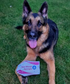 Dynarex Non-Woven Sponges, Non-Sterile, Gauze Sponges, for Cleansing, Prepping and Dressing, Highly-Absorbent and with Less Linting, 4"x 4", 4 Ply, 1 Box of 200 Non-Woven Sponges 200 Count (Pack of 1) 43 81hc6gP9PBL