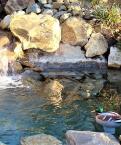 Poolmaster Adustable Chlorine Dispenser for Swimming Pools and Spas, Mallard 40 81hc8cn8Z6L