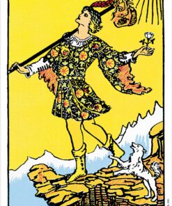 The Rider Tarot Deck® 31 81hcAQzfdL