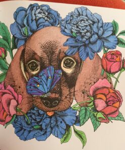 "Be Still" Inspirational Adult Coloring Therapy Featuring Psalms 62 81hedwu300L