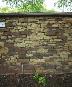 Rokinon 14mm f/2.8 IF ED UMC Ultra Wide Angle Fixed Lens w/ Built-in AE Chip for Nikon 58 81hiJR3lklL