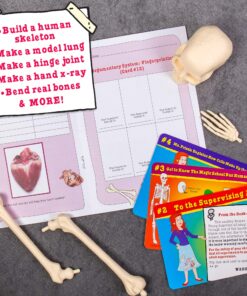 The Magic School Bus:Human Body Lab By Horizon Group USA,Homeschool STEM Kit,Includes Hands-On Educational Manual,Experiment Cards,Plastic Human Skeleton,Data Notebook,Hinge Joint Model & More ,Yellow Human Body 12 81hk9ggpkTL