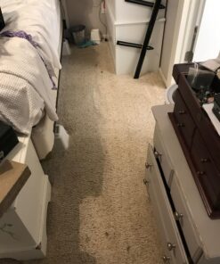 Nature's Miracle Carpet Shampoo, Deep-Cleaning Stain and Odor Remover 64 Ounce Original 64 Fl Oz (Pack of 1) 47 81hkgdHbdqL 1