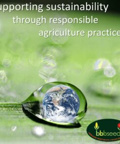 Monarch Butterfly Rescue Wildflower Seed Packet Bulk Open-Pollinated Wildflower, No Fillers, Annuals, Perennials and Milkweed Seeds for Monarch Butterfly1oz 43 81hlH9wLBaL