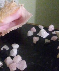 Vrinda ®Abalone Shell and 6'' Wooden Tripod Stand 32 81hlZAQuc7L