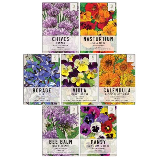 Seed Needs, Edible Wildflower Seed Packet Collection (7 Varieties of Flower Seed for Planting) Non-GMO & Untreated - Includes Viola, Pansies, Chives, Borage, Calendula, Nasturtium and Bee Balm