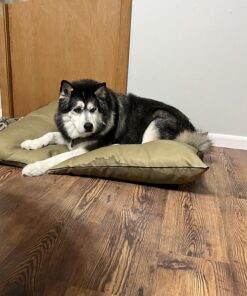 Majestic Pet Rectangle Large Dog Bed Washable – Non Slip Comfy Pet Bed – Dog Crate Bed Super Value Pillow Dog Bed – Dog Kennel Bed for Sleeping - Dog Bed Large Breed 46 x 35 Inch – Solid Khaki 46.0"L x 35.0"W x 7.0"Th 34 81hnQ2PvbVL