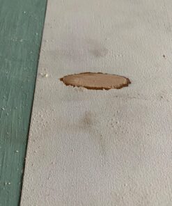 Kreg P-PNT Paint Grade Plugs 20 81hoz1SQpiL