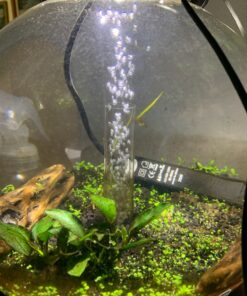 biOrb CLASSIC 15 Aquarium with LED - 4 gallon, Black 19 81hpE7fWZAL