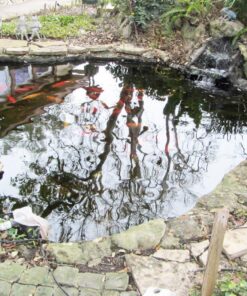 TetraPond Submersible Flat Box Filter, For 250 To 500 Gallon Ponds 42 81hq6KsoxL