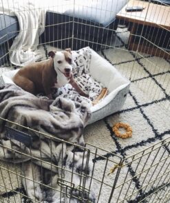 MidWest Homes for Pets Foldable Metal Dog Exercise Pen / Pet Playpen, Gold zinc w/ door, 24'W x 30'H, 1-Year Manufacturer's Warranty 30" H 37 81hskta4mPL