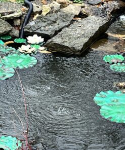 Aquascape 75000 Pond Air 2 (Double Outlet Aeration Kit) 2-Outlet 56 81htbnYEzfL