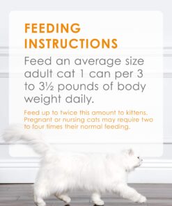 Purina Fancy Feast Tender Chicken and Liver Feast Classic Grain Free Wet Cat Food Pate - (24) 3 oz. Cans Liver & Chicken 3 Ounce (Pack of 24) 26 81hw8SucBL 4