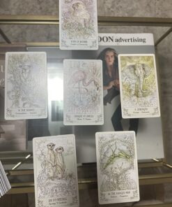 Spiritsong Tarot 52 81i yZ09mUL