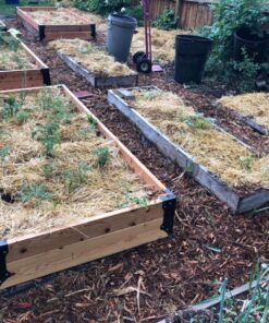 Panacea 89584 Raised Garden Bed Corner Brackets Plant-Container-Accessories, Black 37 81i8kGDoJyL