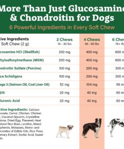 Advanced Hip & Joint Supplement for Dogs, 225 Soft Chews, All Natural Glucosamine, Chondroitin, MSM & CoQ10 For Healthy Hips & Joints, Made in the USA Chicken - 225 Count 24 81iCwcRNqgL 3