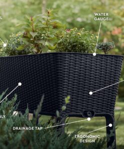 Keter Easy Grow 31.7 Gallon Raised Garden Bed with Self Watering Planter Box and Drainage Plug-Perfect for Growing Fresh Vegetables, Flowers and Herbs Graphite 27 81iH6gyzYBL