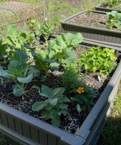 Lifetime 60069 Raised Garden Bed Kit, 4 by 4 Feet, Pack of 3 50 81iJMAEjudL