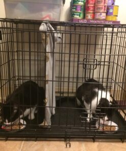 Medium Dog Crate | MidWest Life Stages 30" Double Door Folding Metal Dog Breed Crate | Divider Panel, Floor Protecting Feet & Dog Pan | 30.6L x 19.3W x 21.4H Inches 30.6"L x 19.3"W x 21.4"H Lifestages; Double Door 39 81iKZiBOWfL