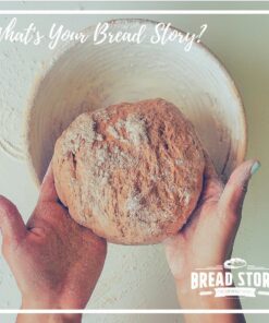 (8.5 inch) Round Banneton Proofing Basket Set - Brotform Handmade Unbleached Natural Cane For homemade Crusty Fresh, Easy to Bake Bread With Professional Marks Rising dough Bread Kit with washable Cloth 8.5 inch 14 81iKcs5xtML