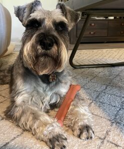 Nylabone Classic Power Chew Toys Twin Pack - Dog Toys for Aggressive Chewers - Tough & Durable Dog Bones for Large Dogs - Bacon and Chicken Flavors, Large/Giant (2 Count) Large/Giant - Up to 50 lbs. Variety 34 81iLUm4AajL 2