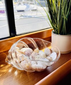 Hosley Glass Shell Vase 8 Inches Long Ideal Gift for Weddings Spa Aromatherapy Flower Arrangements Bowl for Orbs DIY Craft Projects LED Votive Candle Gardens O9 28 81iT1ScBLdL