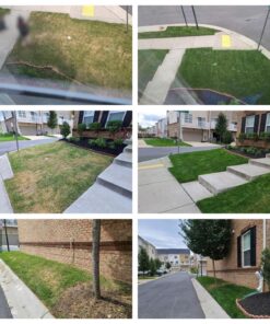 Scotts Turf Builder Starter Fertilizer for New Grass, Use When Planting Seed, 5,000 sq. ft., 15 lbs. Standard 5,000 sq. ft. 43 81iXcEDDeOL