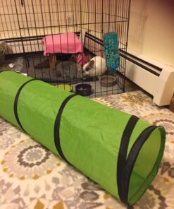 Petmate Jackson Galaxy Cat Crawl Solid Tunnel, Green/Orange 41 81icEpvtmL