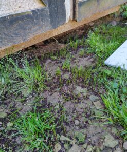 Scotts EZ Seed Patch & Repair Sun and Shade Mulch, Grass Seed, Fertilizer Combination for Bare Spots and Repair, 4 lb 3.75 lb. 1 Pack 38 81ieyD11S6L