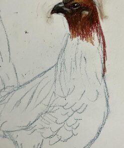 SAKURA Cray-Pas Expressionist Oil Pastel Set - Soft Oil Pastels for Artists - 50 Sticks 50 Piece Set 33 81igOJFBzL