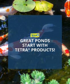 TetraPond Koi Vibrance, Soft Sticks, Easy to Digest Floating Pond Food, 16.5 lbs 17 81ihBhp3smS 2