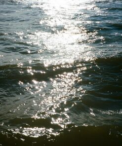Kodak Ektar 100 Professional ISO 100, 35mm, 36 Exposures, Color Negative Film 40 81ijqaoWXL