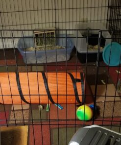 Petmate Jackson Galaxy Cat Crawl Solid Tunnel, Green/Orange 47 81ilurB7vNL