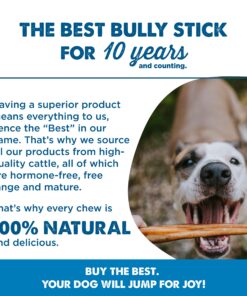 Best Bully Sticks All Natural Premium 12 Inch Jumbo Bully Sticks for Large Dogs - USA Baked & Packed - 100% Grass-Fed Beef - Single-Ingredient Grain & Rawhide Free Dog Chews - 8 Pack 12" Natural Scent 8 Count (Pack of 1) 26 81imXj2Ga0L 5
