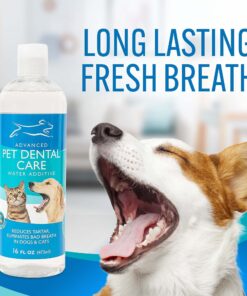 EBPP Advanced Pet Dental Care Water Additive - Premium Cat & Dog Dental Care and Dog Breath Freshener - No Brush Formula Tartar & Plaque Remover for Dogs Teeth 27 81iti2mwzqL