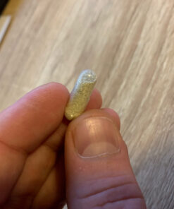 Zahler - Iron Supplement with Vitamin C - Capsule Iron Pills for Women and Men - High Absorption, Easy on Stomach, Kosher Ferrous Iron Supplements with Vitamins C, B12, Folate & More - 100 Count 100 Count (Pack of 1) 36 81iv4cIas3L