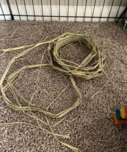 Oxbow Animal Health Timothy Hay Tunnel 34 81iyi0o60qL