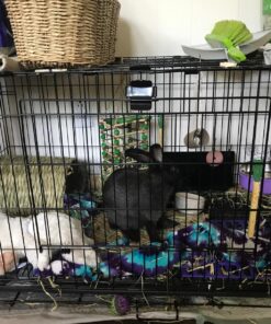 Oxbow Animal Health Timothy Hay Tunnel 33 81izLu5OmFL