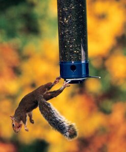 Droll Yankees 21964205201 787461785928 Squirrel Proof Bird Feeder, Yankee Whipper, 28-Inch, 4 P, Evening Blue 20 81j M9meA1L