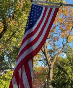 American Flags for Outside 3X5 -American Flag 3x5 with Embroidered Stars and Sewn Stripes US Flag 3x5 Heavy Duty Outdoor Made in USA for High Wind- All Weather Flags 3 by 5 Foot 40 81j1RxNob9L