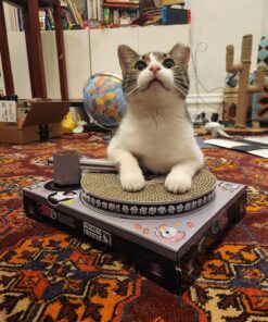 Suck UK Cat Scratcher ; Dj Cat Scratch Turntable ; Cardboard Cat House ; Cat Scratch Pad ; Cat Scratcher House & Cat Playhouse ; Novelty Interactive Cat Toys For Indoor Cats ; Funny Cat Accessories 33 81j5RURRjOL