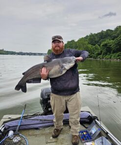 Seaguar Blue Label 100% Flourocarbon Fishing Line Leader, Freshwater, Multiple Sizes 60-Pounds/25-Yards 60lbs/25yds 23 81j7dbu4AuL