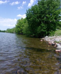 Kodak PIXPRO Friendly Zoom FZ43-BK 16MP Digital Camera with 4X Optical Zoom and 2.7" LCD Screen (Black) Black 44 81j9UM8HJiL