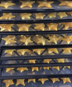 Excalibur 3900B Electric Food Dehydrator Machine with Adjustable Thermostat Accurate Temperature Control and Fast Drying, 9 tray, Black 34 81jB4 QcODL